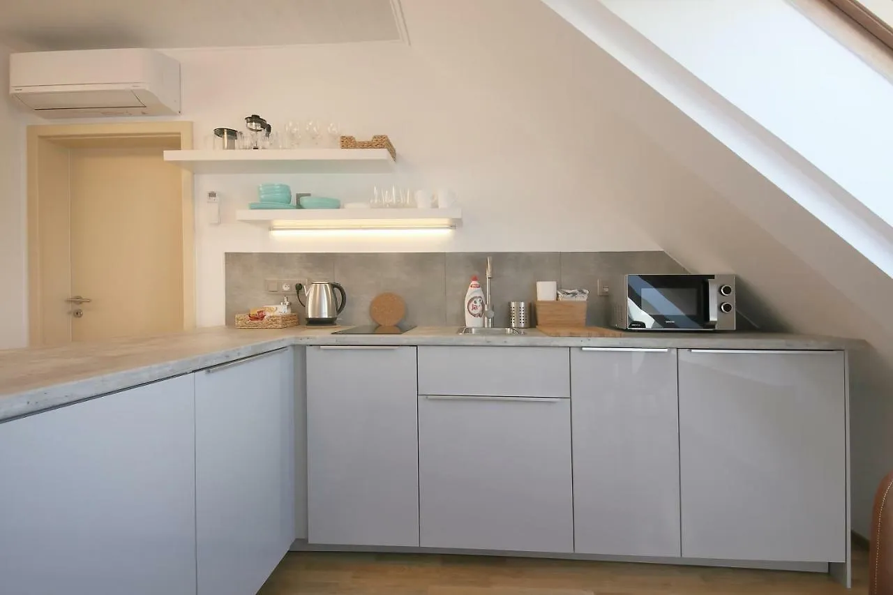 Appartement Prague Expat House 0*,