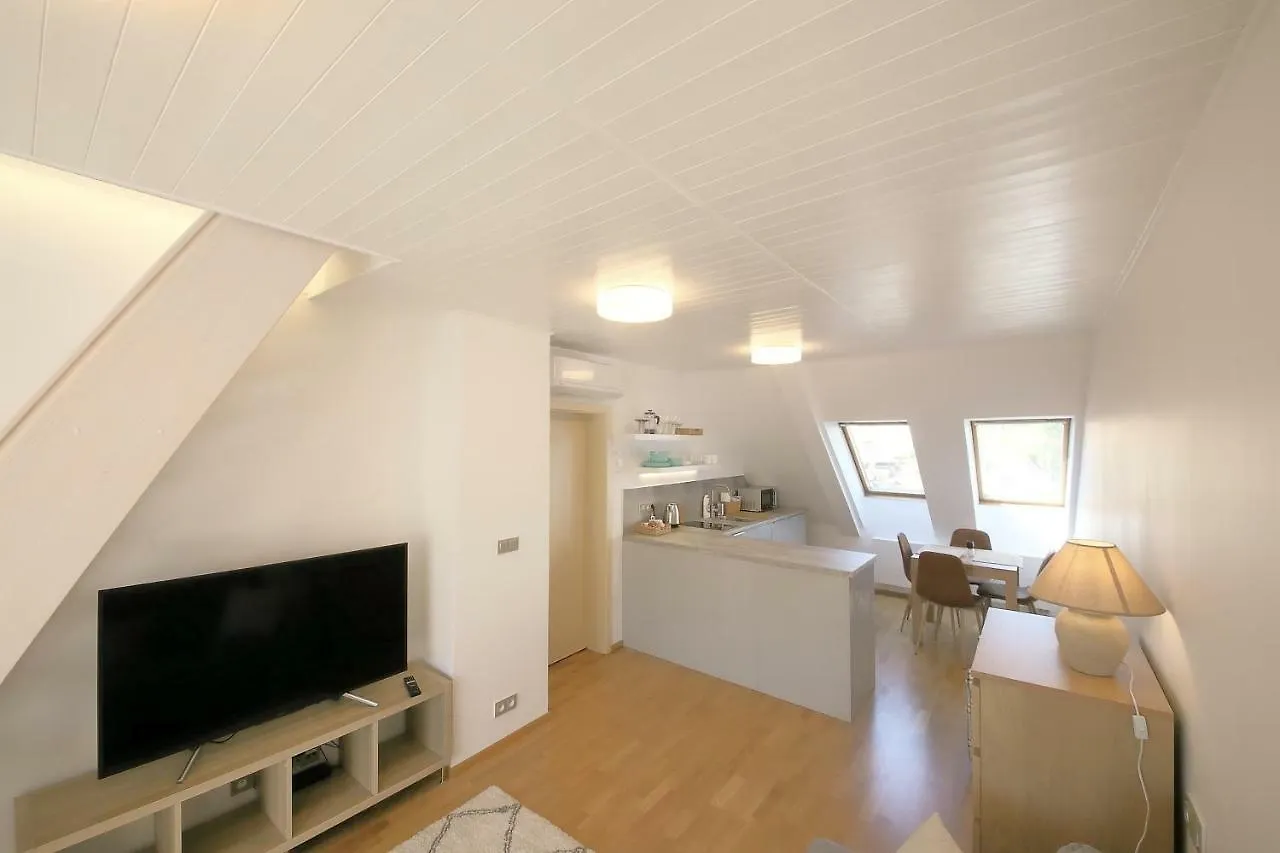 Prague Expat House Apartment